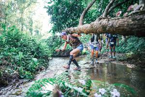 BIB: 
                            <button type="button" onclick="openModal(25448997)" class="btn btn-primary btn-sm float-right btn-popup" data-toggle="modal" data-target=".modal-high-quality">
                        <i class="fas fa-shopping-cart"></i> Add to Cart
                    </button>
                                            <button type="button" onclick="isThisMe(25448997, true)" class="btn btn-success btn-sm float-right btn-popup btn-isme hidden" data-toggle="tooltip" data-placement="bottom" title="นี่คือรูปของคุณใช่ไหม คลิกที่นี่เพื่อเอาเข้าอัลบั้ม">
                        <i class="fas fa-plus"></i> Add to album
                    </button>
                    <button type="button" onclick="isThisMe(25448997, false)" class="btn btn-warning btn-sm float-right btn-popup btn-isnotme hidden">
                        <i class="fas fa-ban"></i> Remove from album
                    </button>